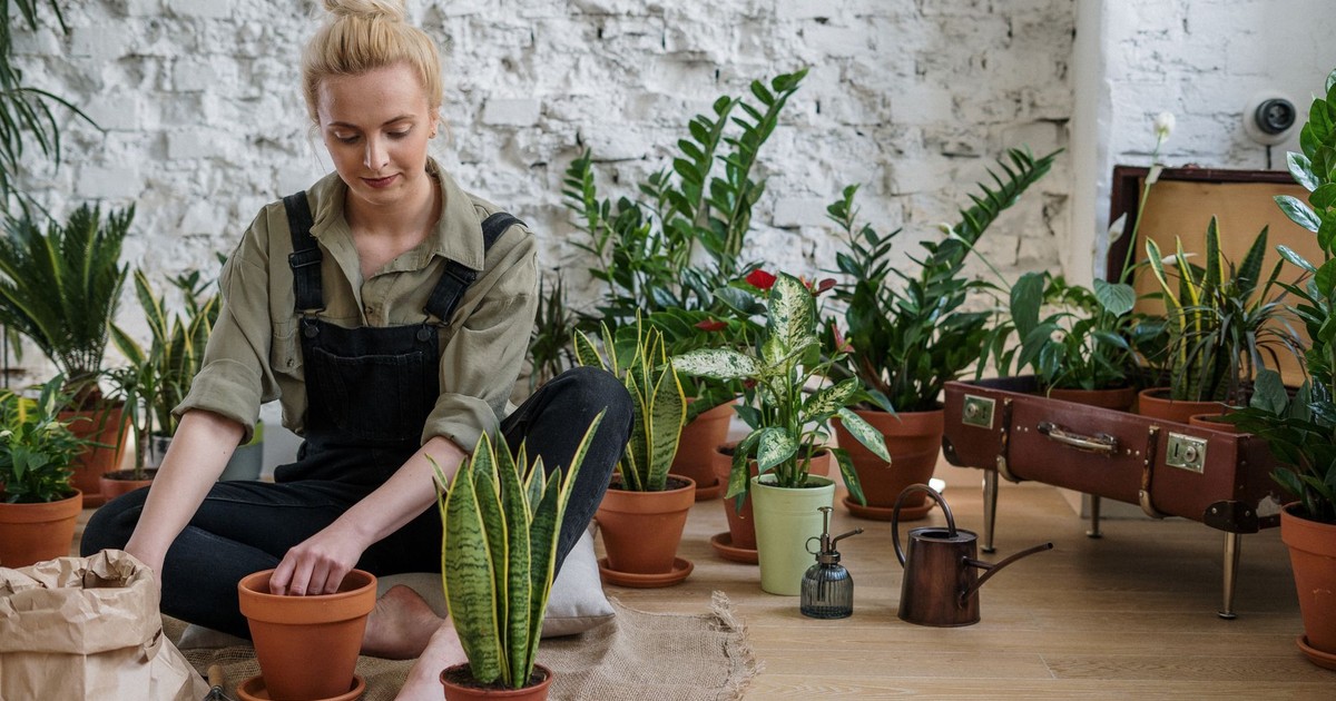 A woman arranges potted houseplants, creating an inviting indoor garden scene.