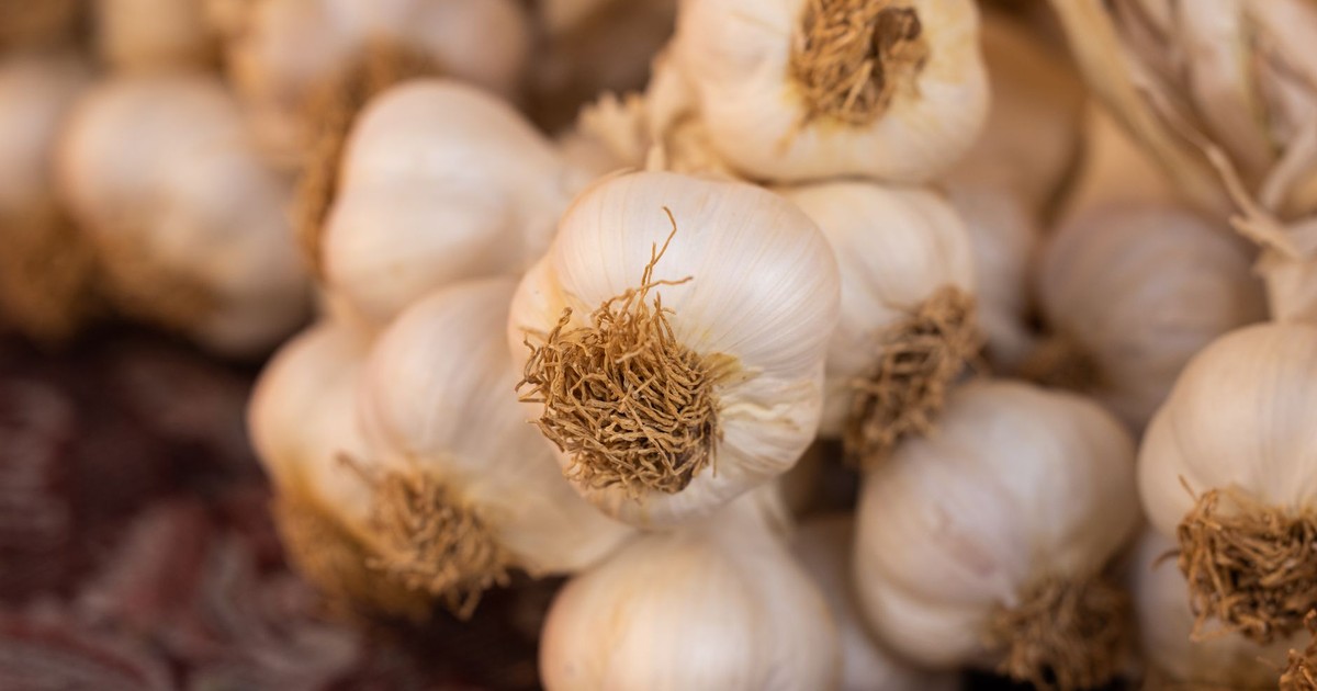A detailed close-up view focusing on fresh garlic bulbs with natural root texture.