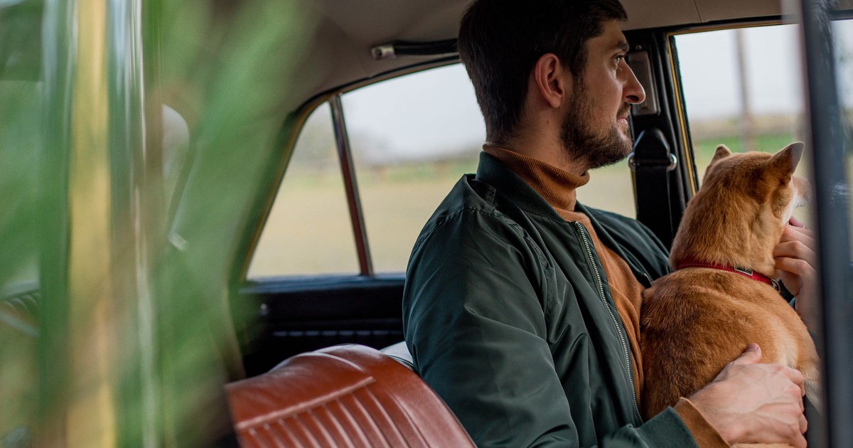 A man and his dog sitting in a vintage car, gazing out the window.