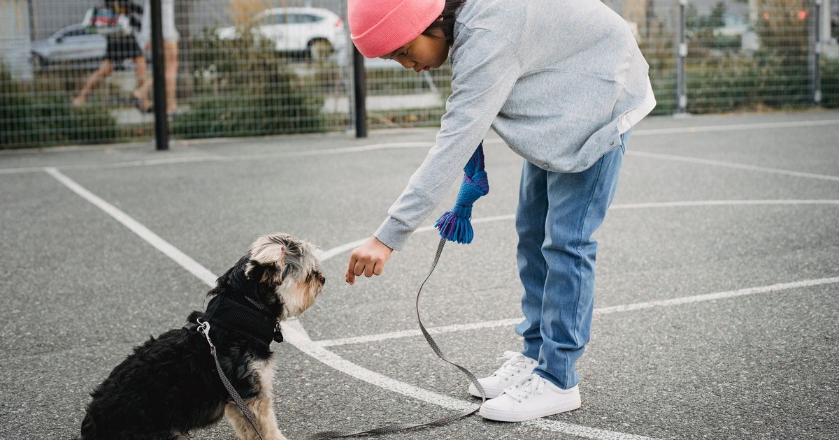 Side view of ethnic child in casual outfit training intelligent purebred dog on asphalt pavement in city