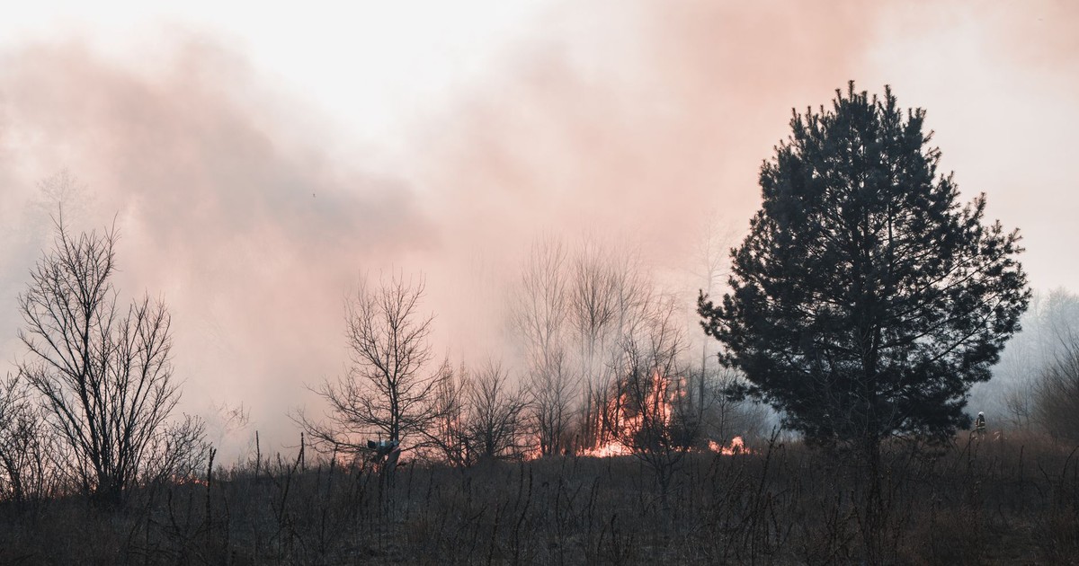 Smoke and flames engulf the forest in Kyiv Oblast, highlighting the threat of wildfires.