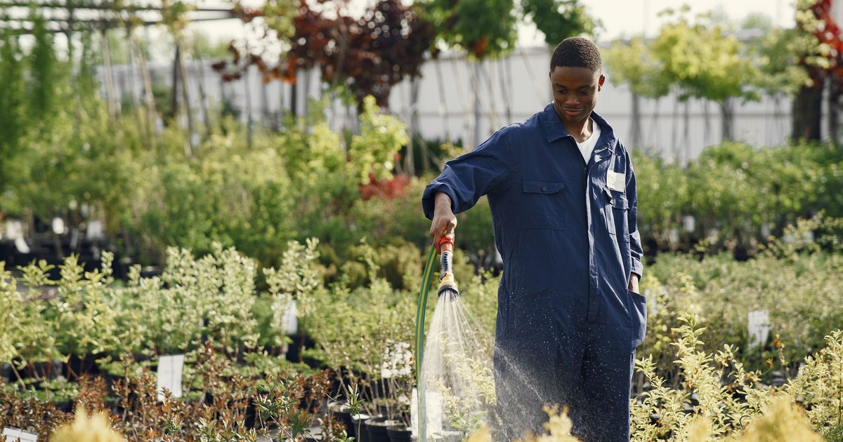 A happy gardener in coveralls watering plants in an outdoor nursery garden.