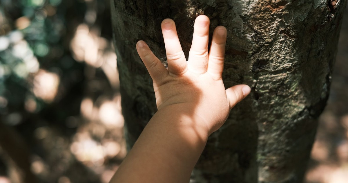 A child's hand gently touches tree bark in a sunlit forest, expressing nature connection.