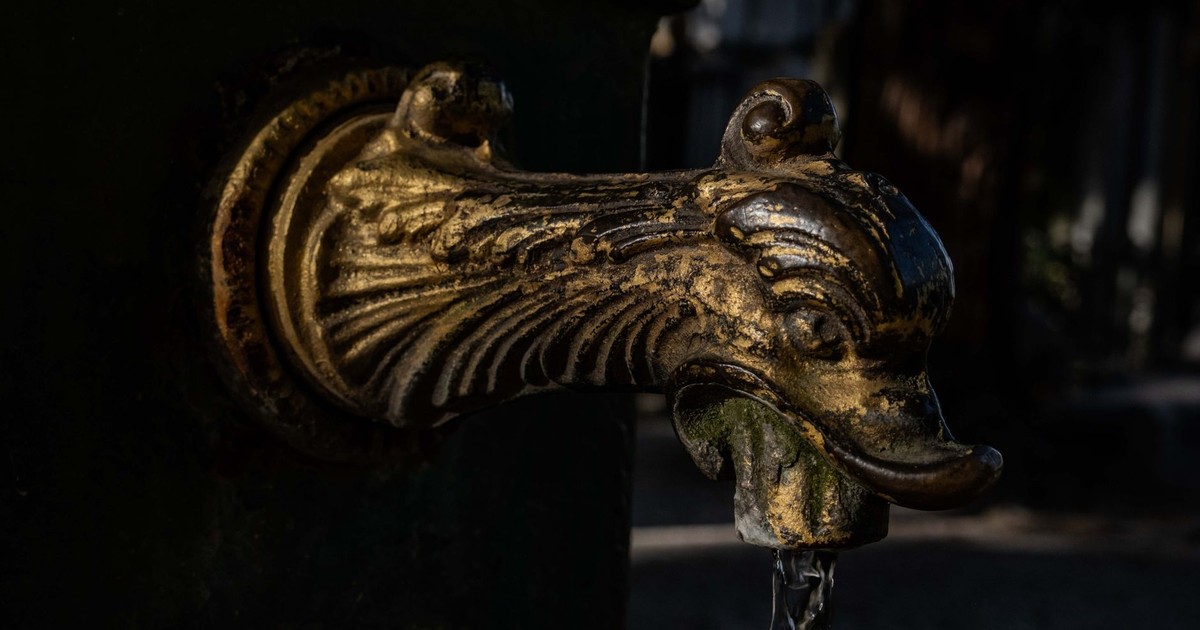 Close-up of an ornate brass water spout shaped like a bird in an outdoor garden.
