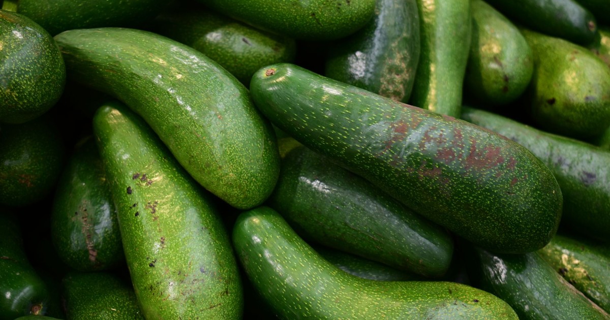 Close-up of green avocados piled up at a market offering fresh produce.