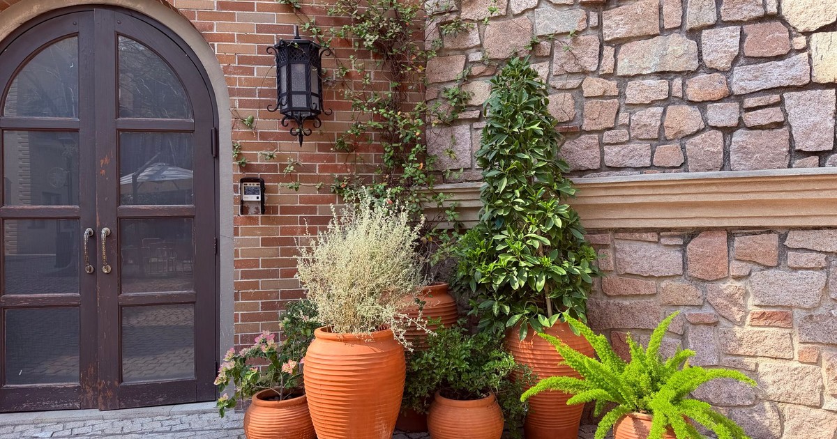 Brick and stone wall with potted plants, a door, and a vintage lantern.