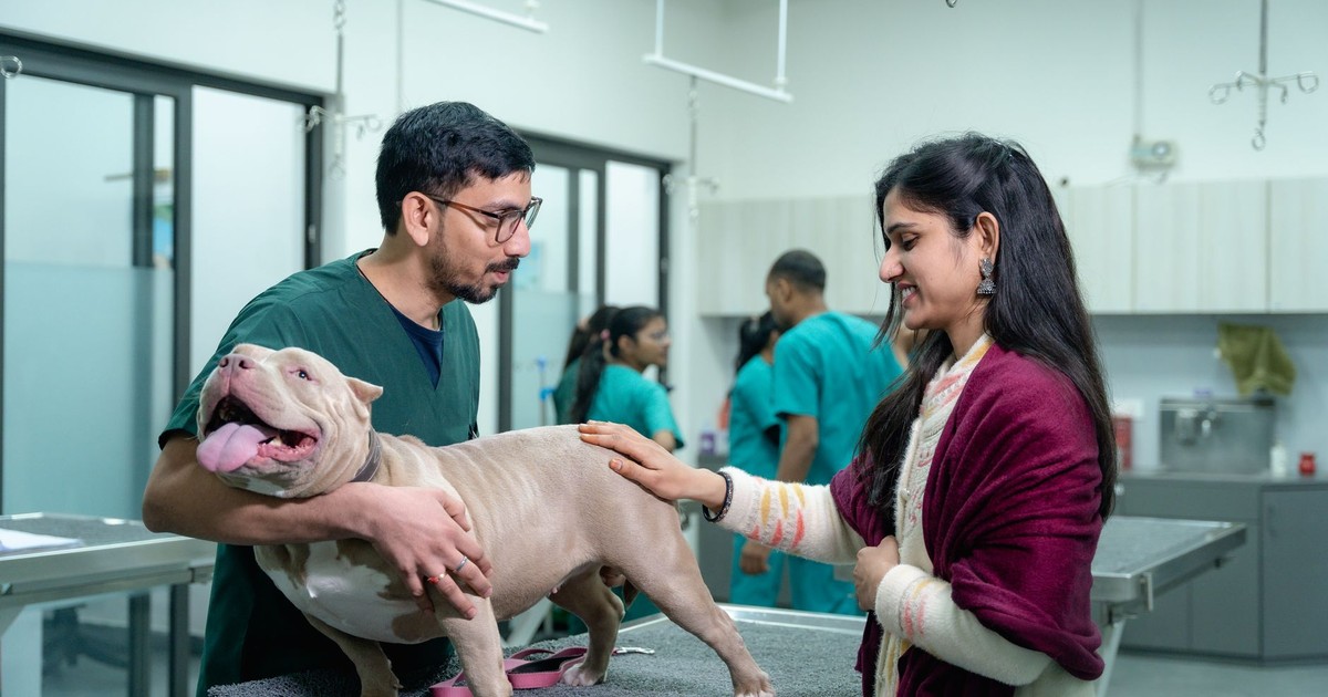 A vet examines a dog with its owner at a veterinary clinic.