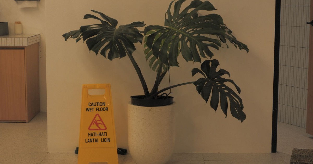 Monstera plant next to a wet floor caution sign in an indoor setting.