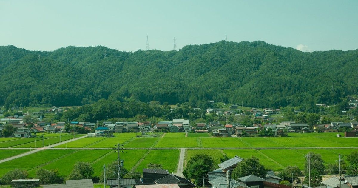 Lush green rice fields with traditional Japanese houses and mountain view in rural Japan.
