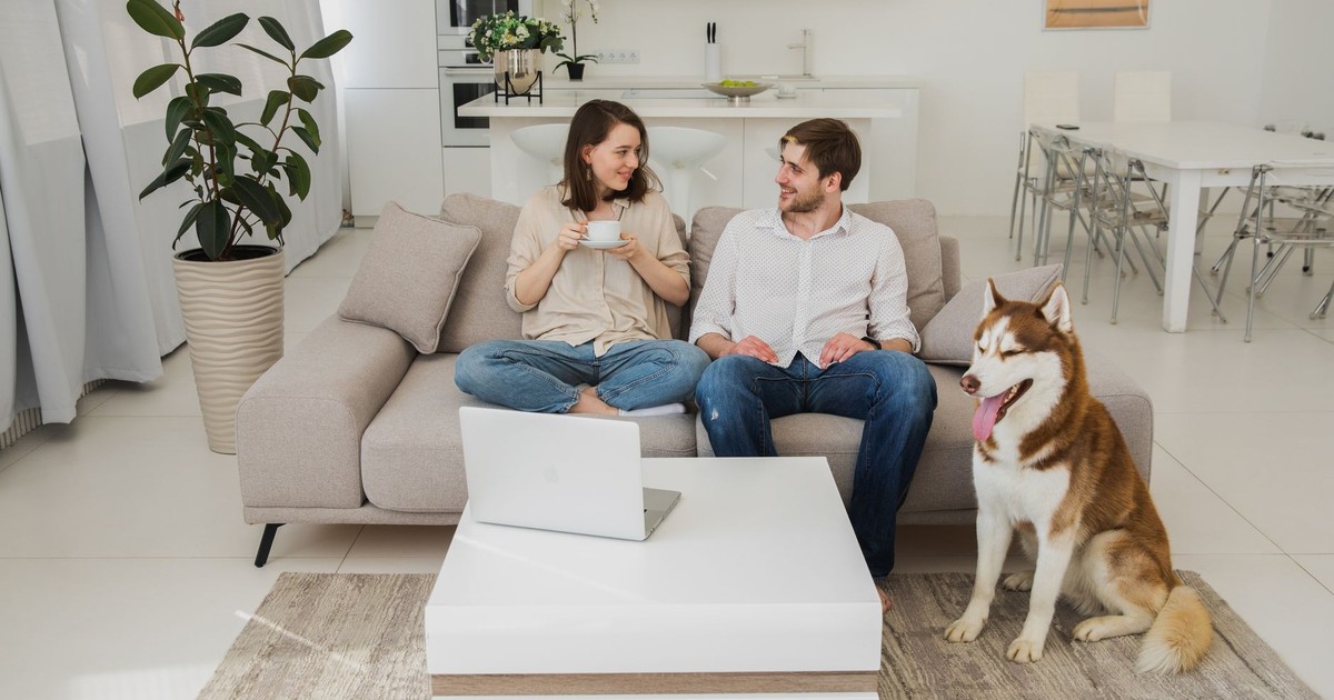 A couple relaxing with a Siberian Husky in a modern living room, using a laptop.