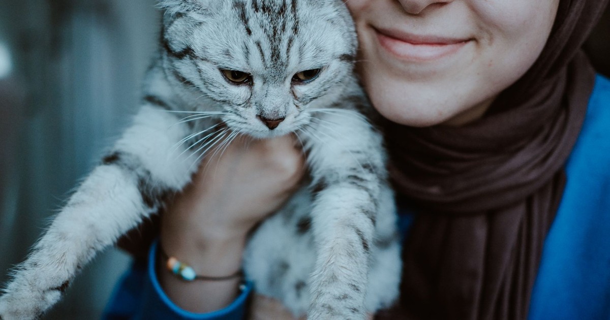 A woman joyfully holds her British Shorthair cat indoors.
