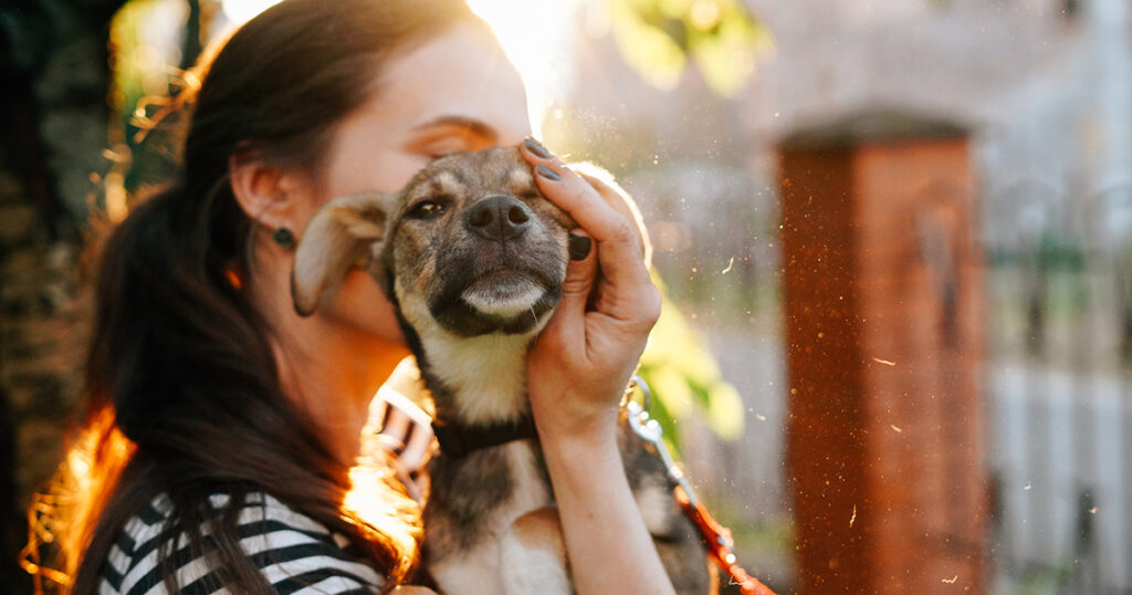 Volunteer holding homeless dog in beautiful sunset light.