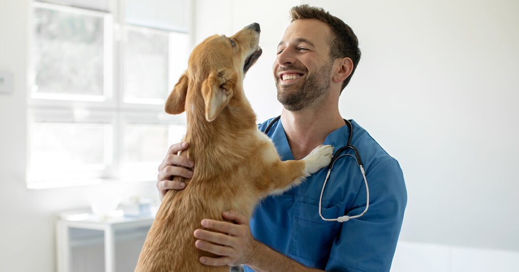 How a Single Vet Visit Can Bankrupt Pet Owners - Featured image