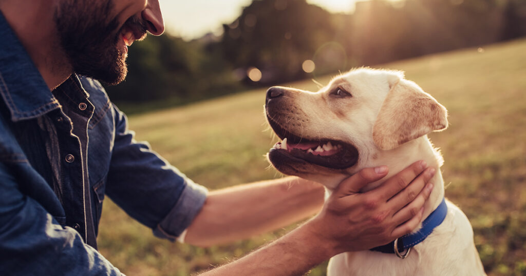 Strangers Joined Hands to Save a Dog From Drowning – Now Immortalized as Statue - Featured image