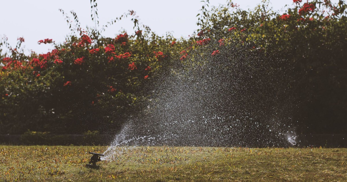 Water sprinkler irrigating a green garden with vibrant flowers under a summer sky.