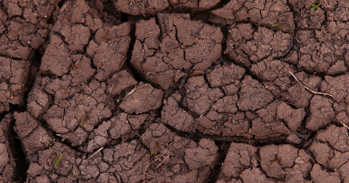 Close-up of a dry cracked earth texture, showcasing drought impact.