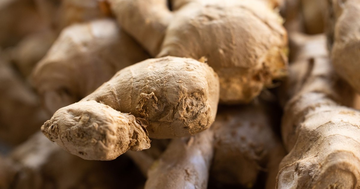 Detailed view of fresh raw ginger roots, showcasing texture and earthy tones. Ideal for food themes.