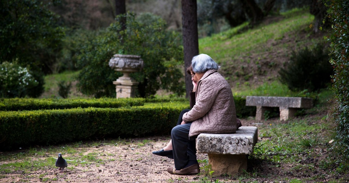 A serene scene of an elderly woman sitting on a stone bench, observing a pigeon in a lush park.